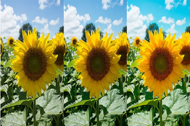 Essential Photoshop Color Settings For Photographers