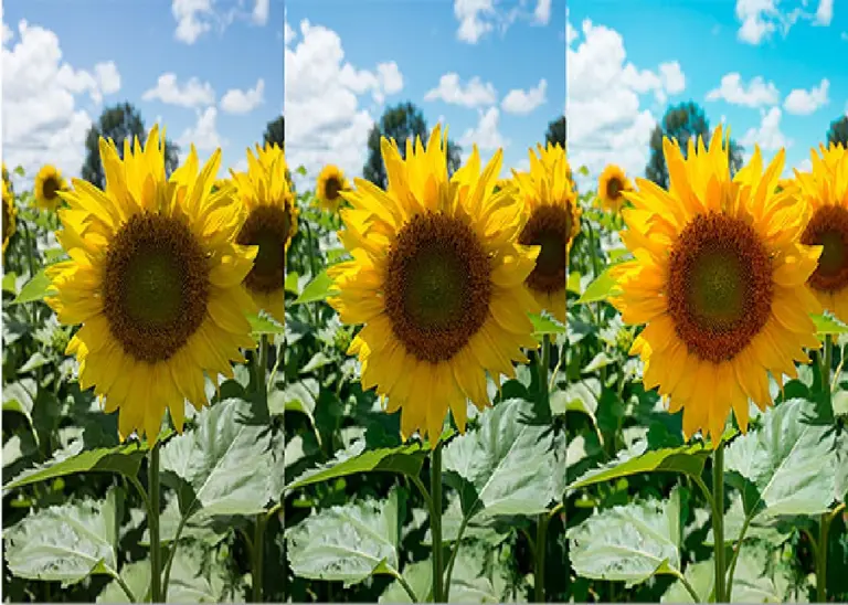 Essential Photoshop Color Settings For Photographers